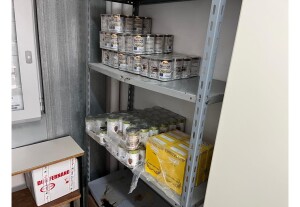 diapositiva1
